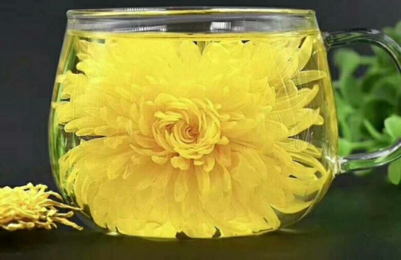 金丝黄菊