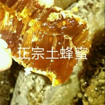 土蜂蜜