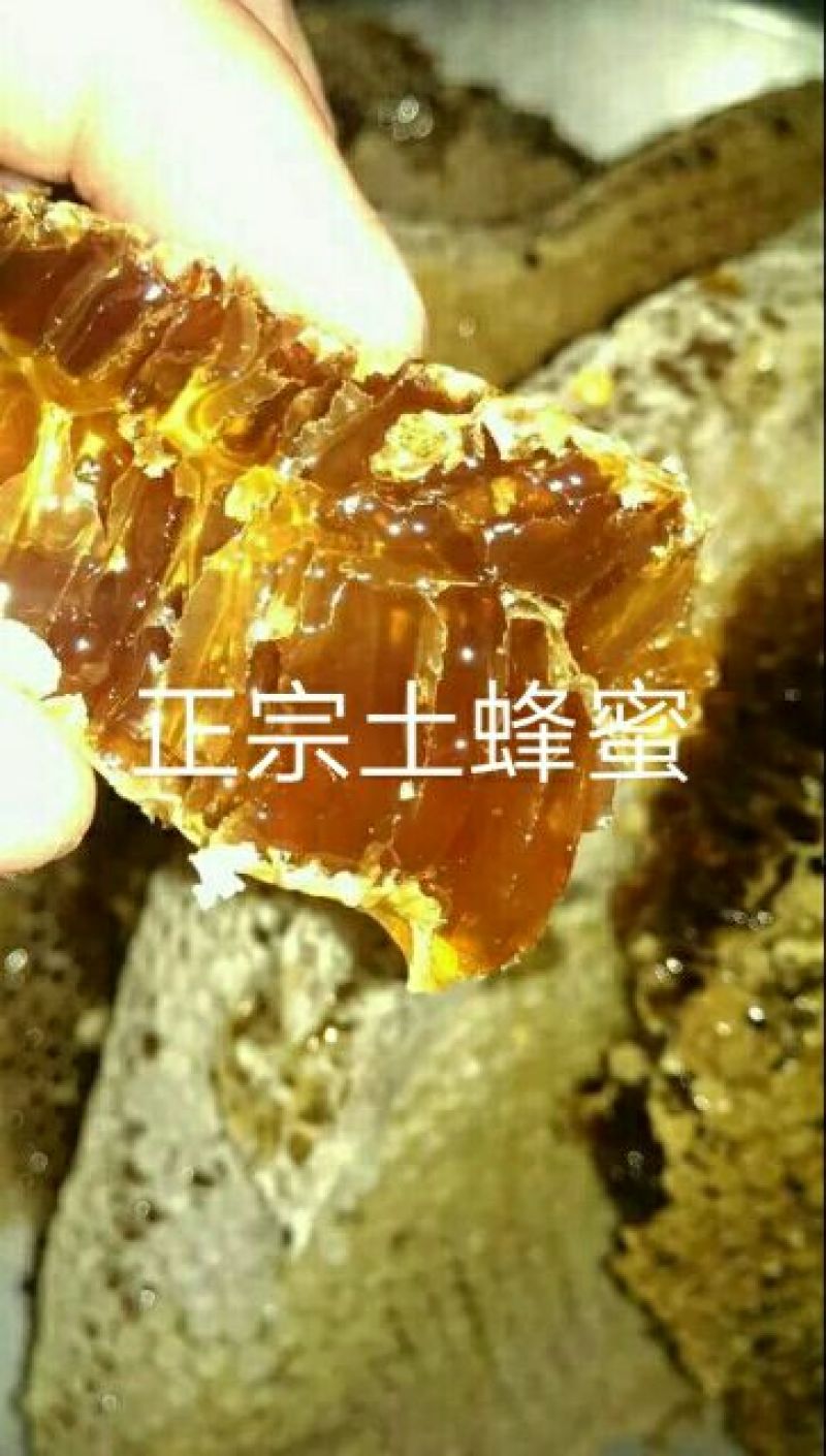 土蜂蜜
