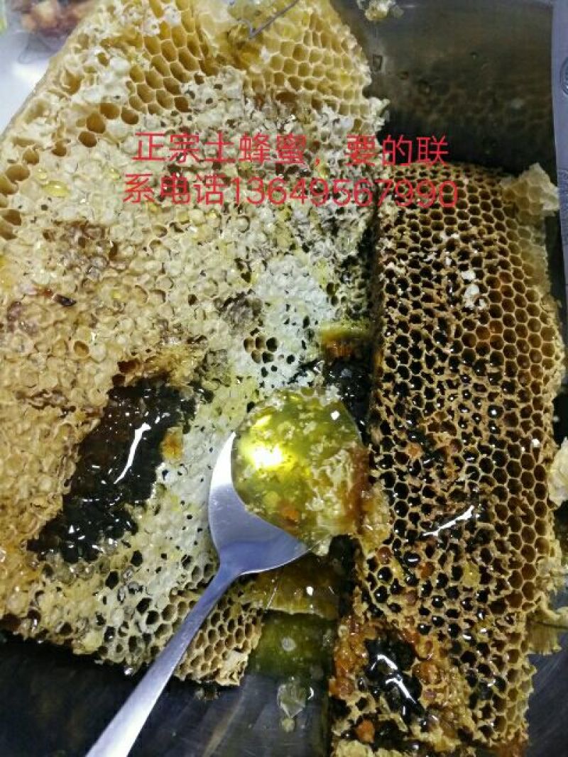 土蜂蜜