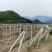 水泥柱