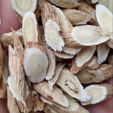 黄芪切片10斤起批1cm