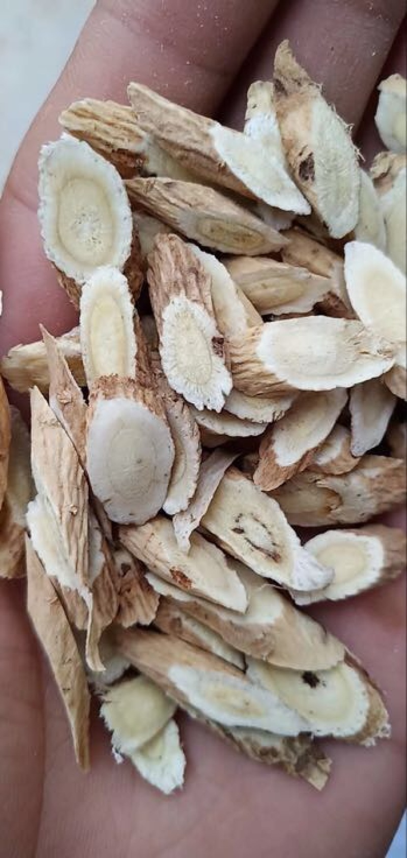 黄芪切片10斤起批1cm