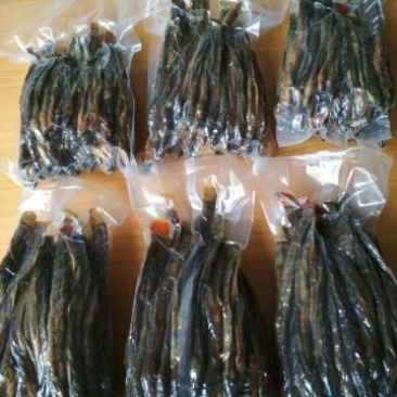 刚秋鱼