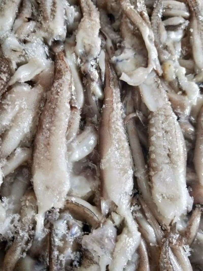 鱿鱼食用冰冻
