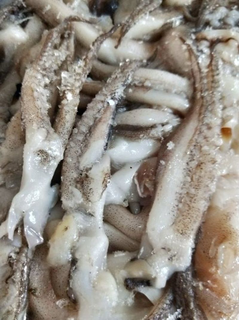 鱿鱼食用冰冻