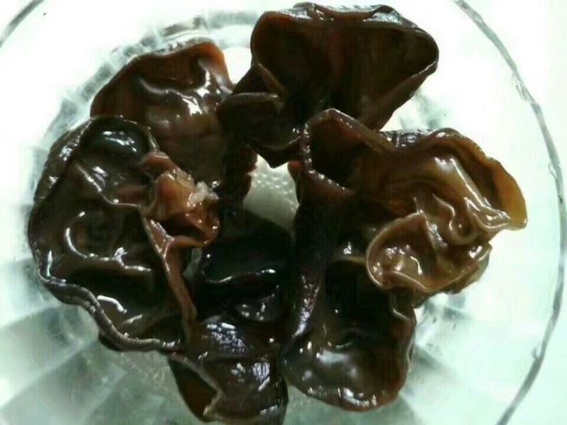 黑木耳