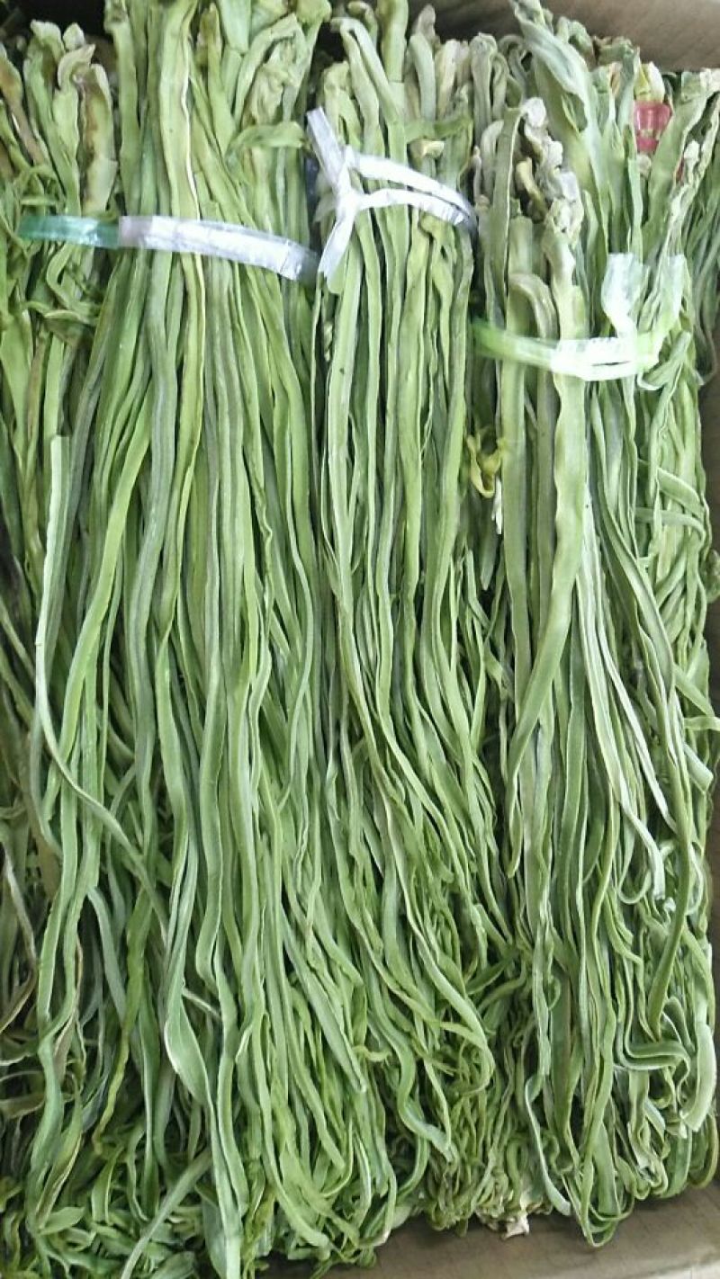 贡菜各种等级贡菜产地直销