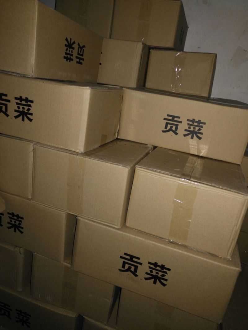 贡菜各种等级贡菜产地直销