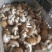 鲜香菇