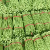 精品长豆角，大量上市了对接商超批发市场发往全国货源充足
