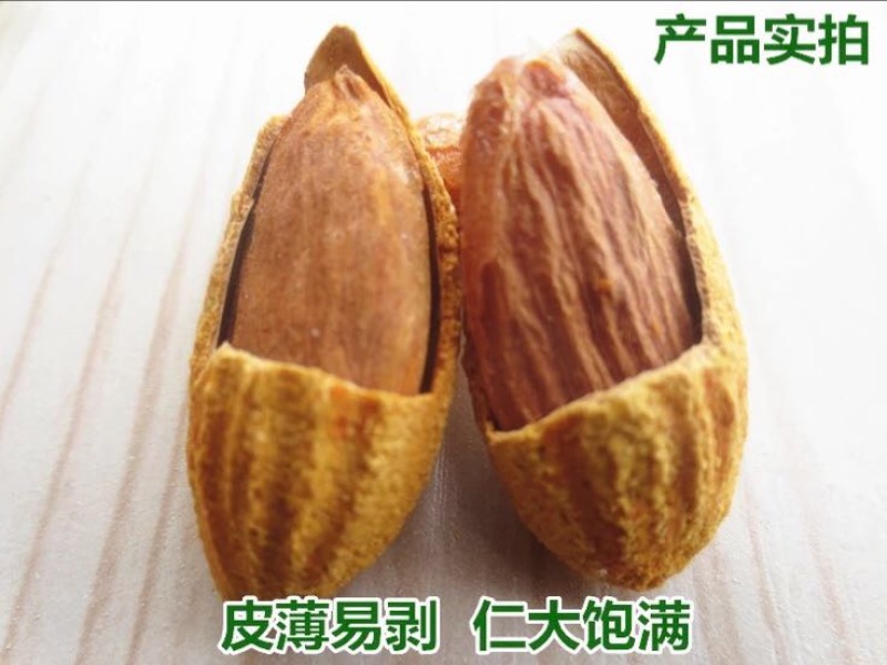 新疆巴旦木散装