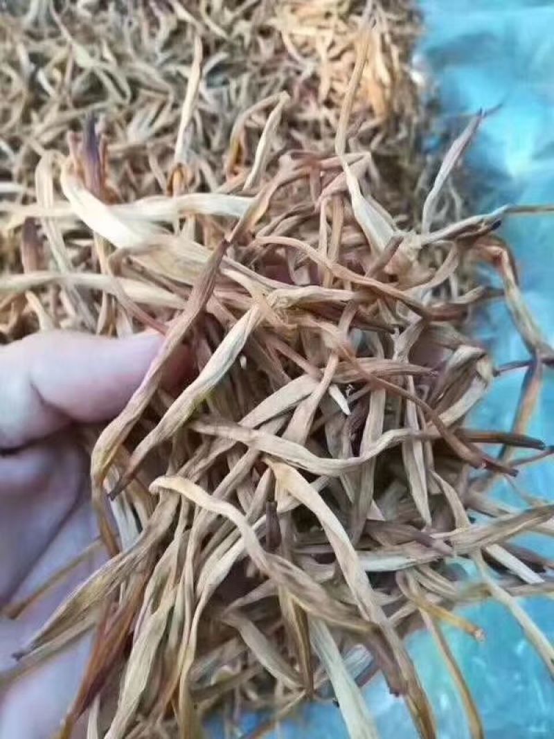 黄花菜