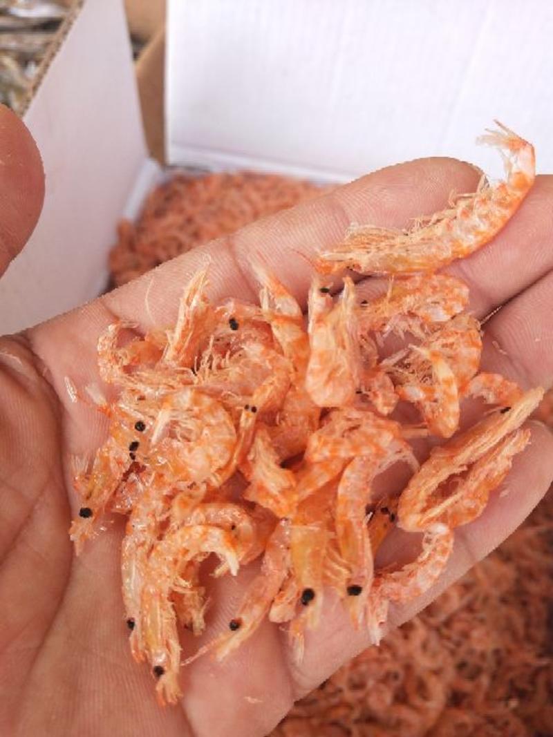 烘干无盐南极磷虾红虾皮海鲜干货批发厂家直销