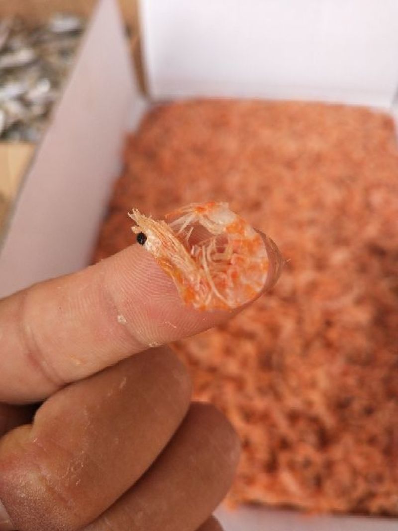 烘干无盐南极磷虾红虾皮海鲜干货批发厂家直销
