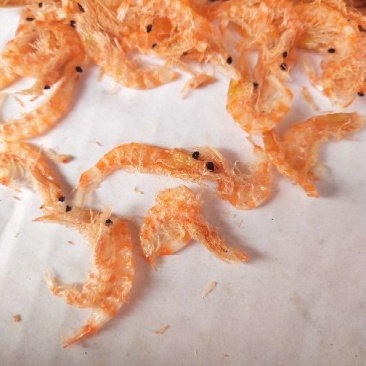 烘干无盐南极磷虾红虾皮海鲜干货批发厂家直销