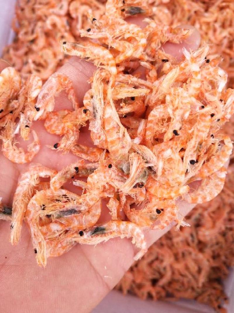 烘干无盐南极磷虾红虾皮海鲜干货批发厂家直销