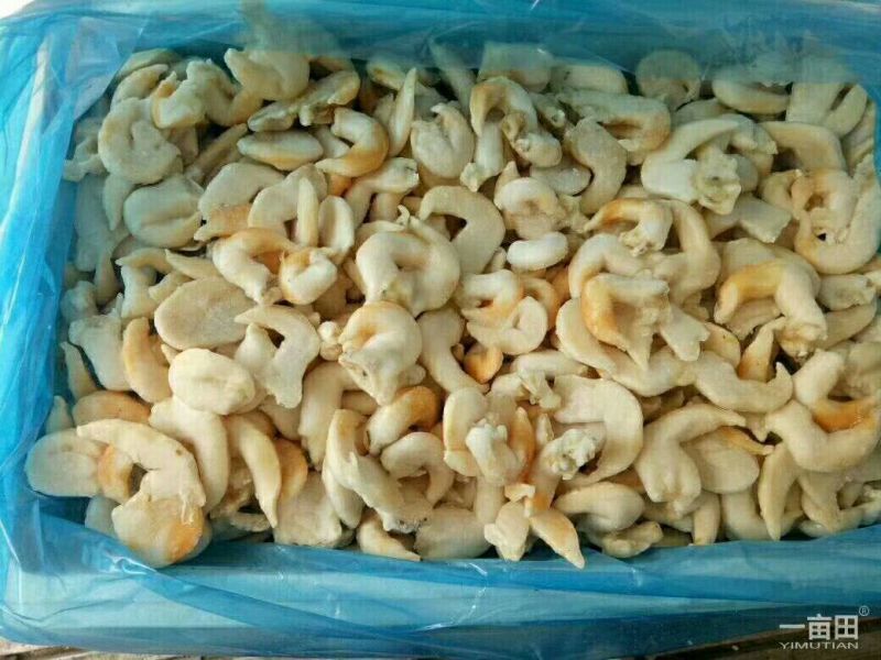鸟贝