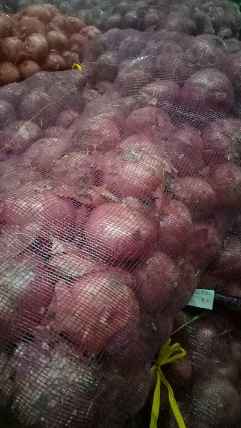 红皮洋葱