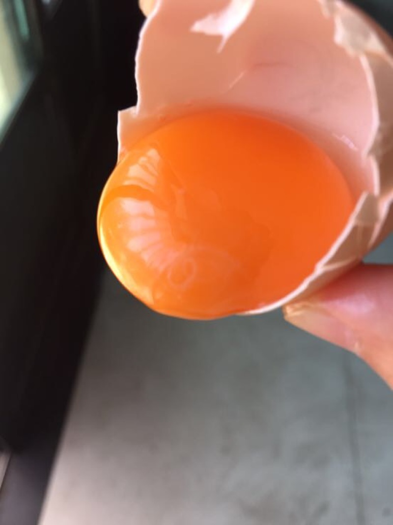 包邮，土鸡蛋食用50~60g