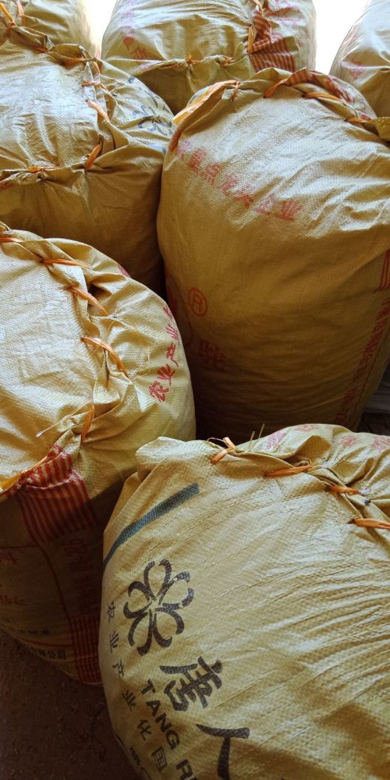 小锅蒸熟条无硫新鲜黄花菜金针菜干货500g包邮送礼佳品