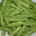 四季豆无筋豆基地直发品质优良质量保障量大从优