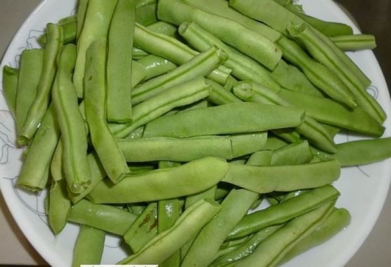 四季豆无筋豆基地直发品质优良质量保障量大从优