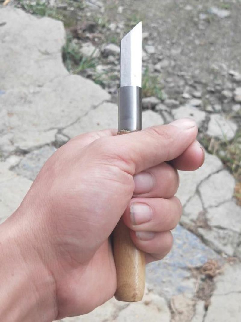 旺盛手工制造锋钢嫁接刀果树苗木芽接刀