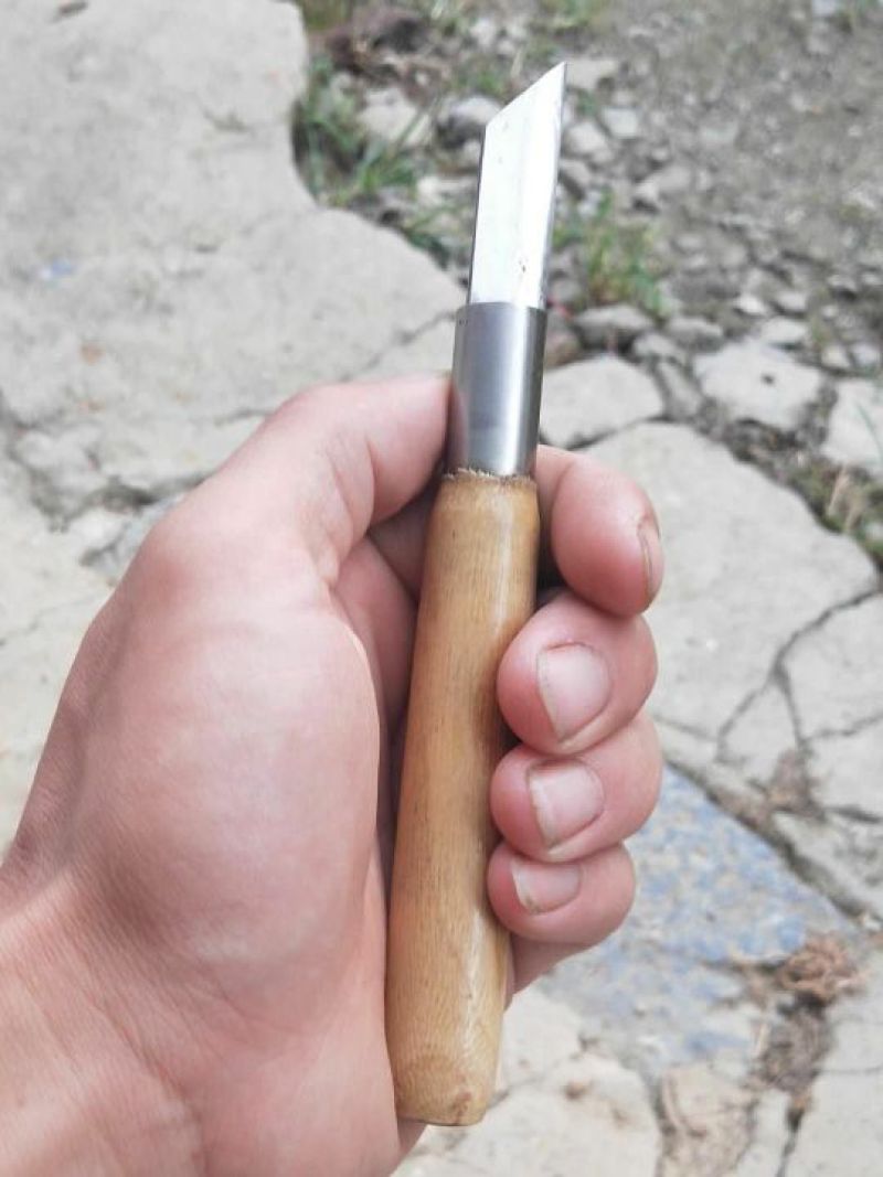 旺盛手工制造锋钢嫁接刀果树苗木芽接刀