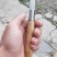 旺盛手工制造锋钢嫁接刀果树苗木芽接刀