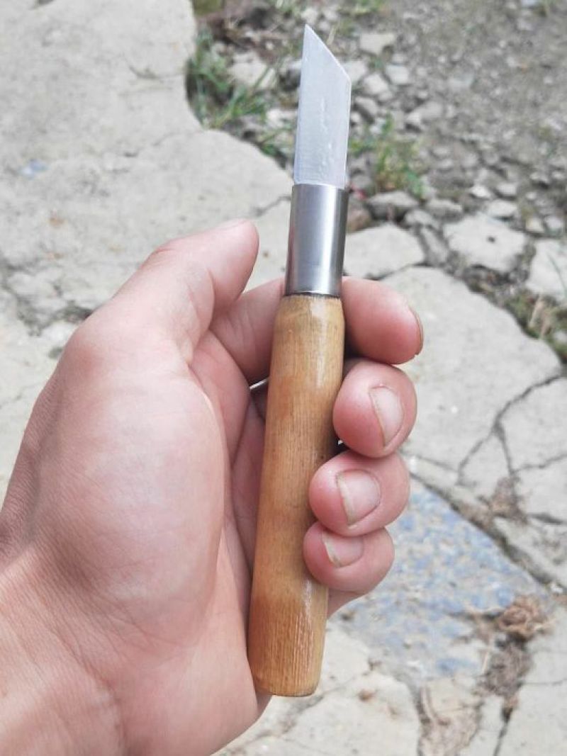 旺盛手工制造锋钢嫁接刀果树苗木芽接刀