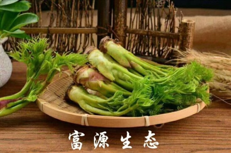 刺龙芽菜