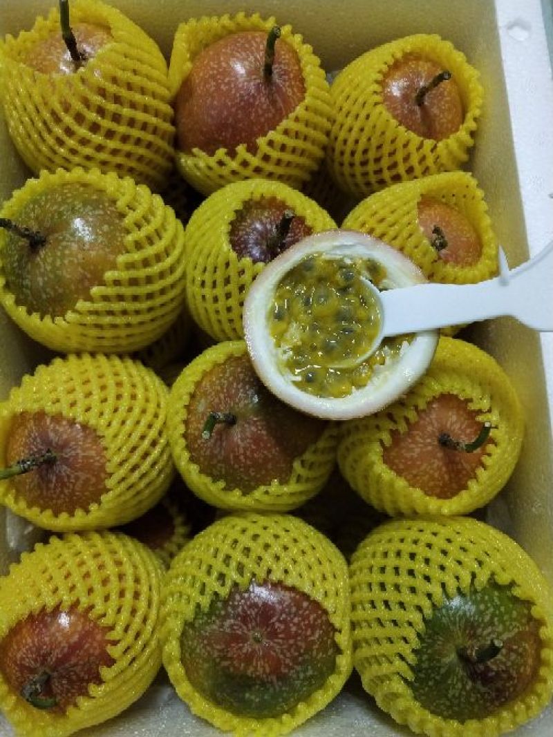 满天星百香果，批发，一件代发，欢迎咨询下单