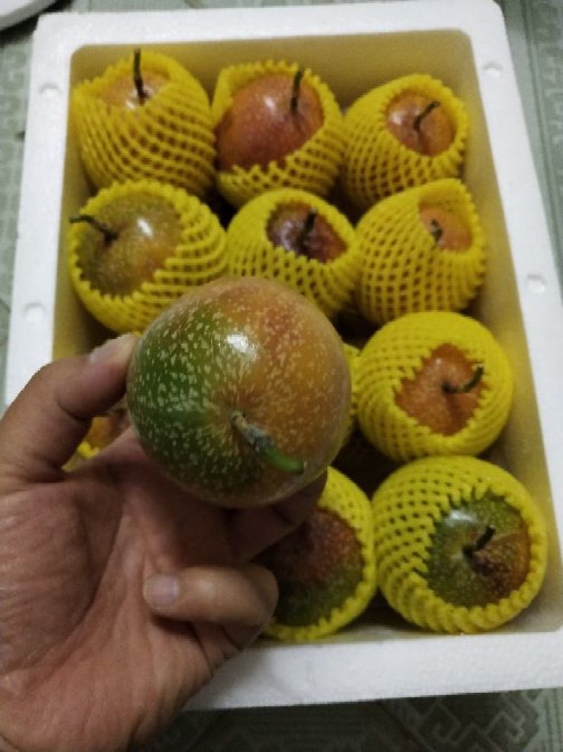 满天星百香果，批发，一件代发，欢迎咨询下单
