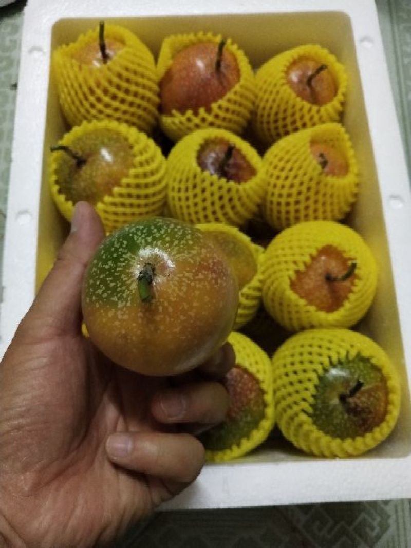 满天星百香果，批发，一件代发，欢迎咨询下单