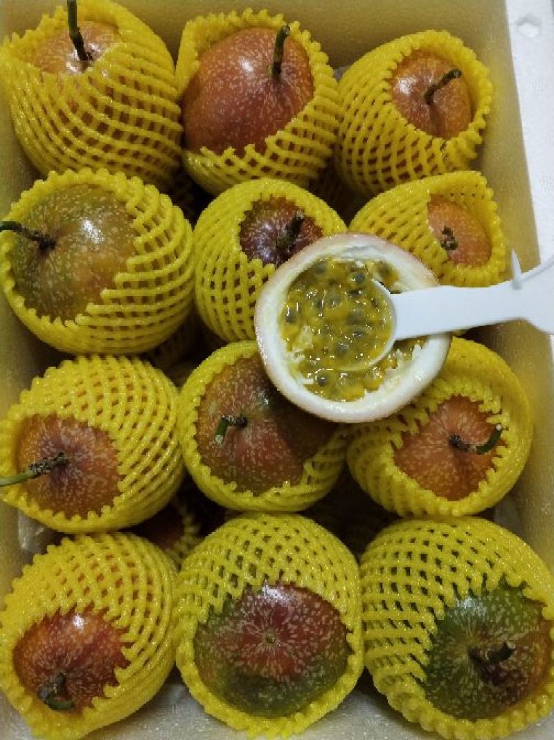 满天星百香果，批发，一件代发，欢迎咨询下单