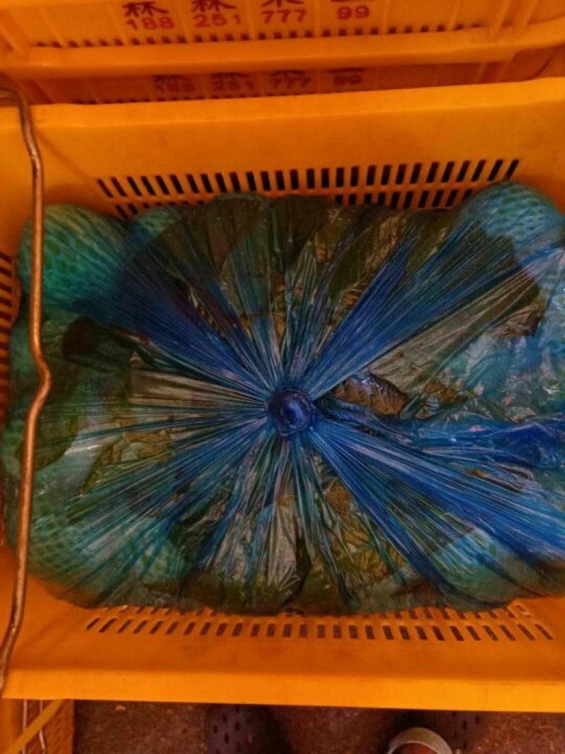 珍珠番石榴60~70mm白心产地直发视频看货