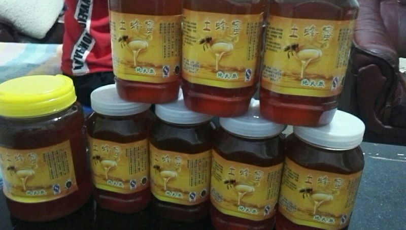 汉中城固县北山土蜂蜜
