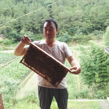 汉中城固县北山土蜂蜜