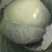 翡翠2号甘蓝