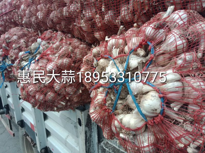 四六瓣白皮干蒜片