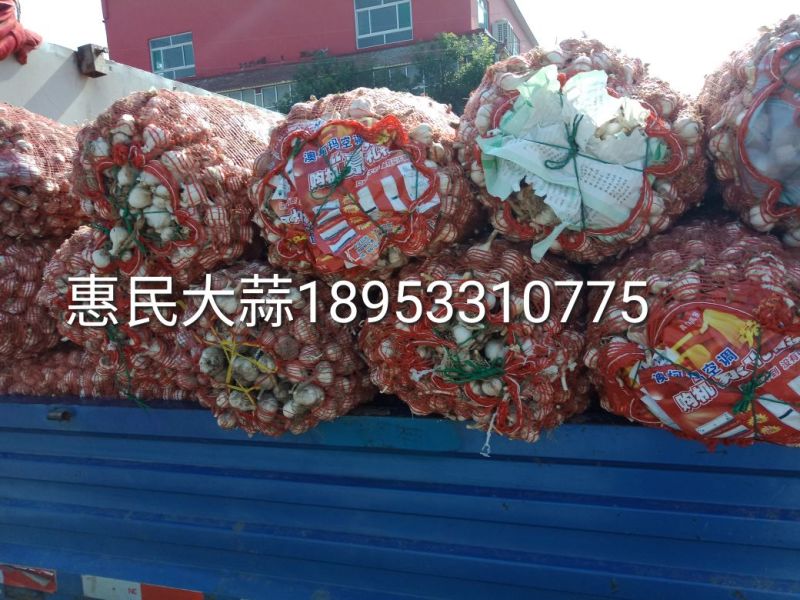 四六瓣白皮干蒜片