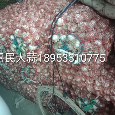 四六瓣白皮干蒜片