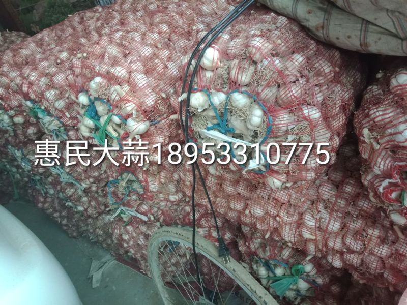四六瓣白皮干蒜片