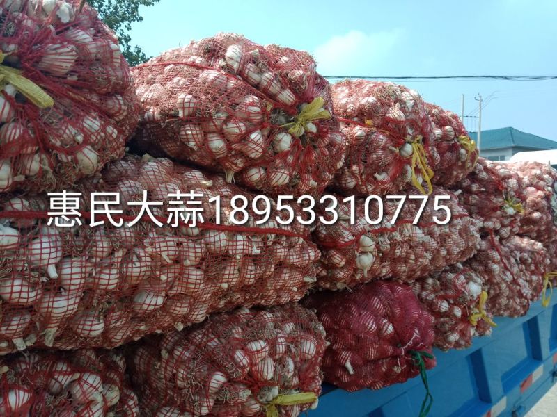 四六瓣白皮干蒜片