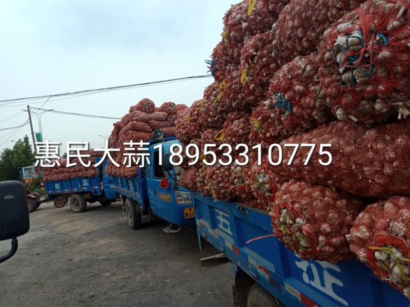 四六瓣白皮干蒜片