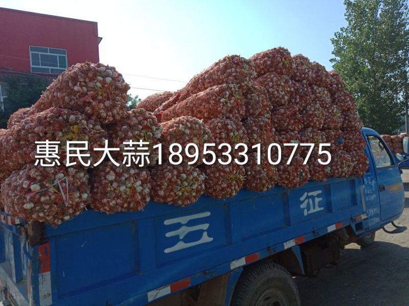 四六瓣白皮干蒜片