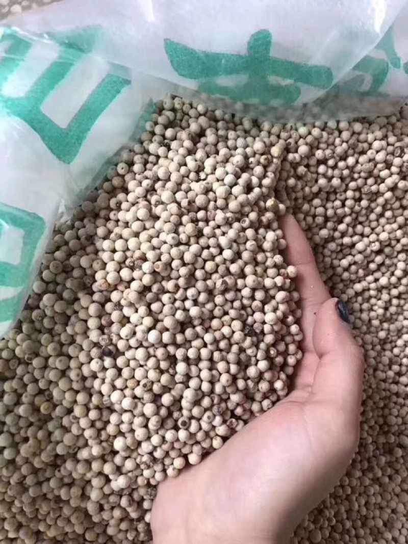 白胡椒散装