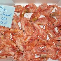 俄罗斯进口北极虾熟冻北极甜虾冻虾