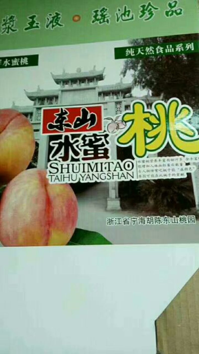 奉化玉露水蜜桃上市了，量大价格美丽